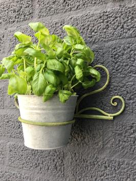 zinken pot hanger